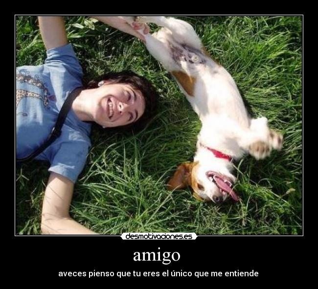 amigo -