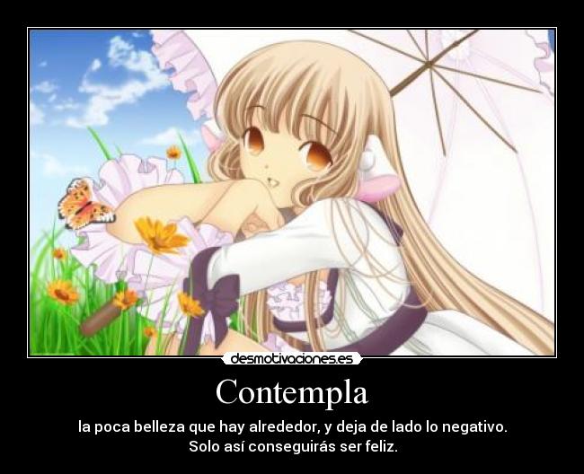 Contempla -
