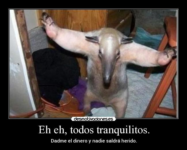 Eh eh, todos tranquilitos. - 