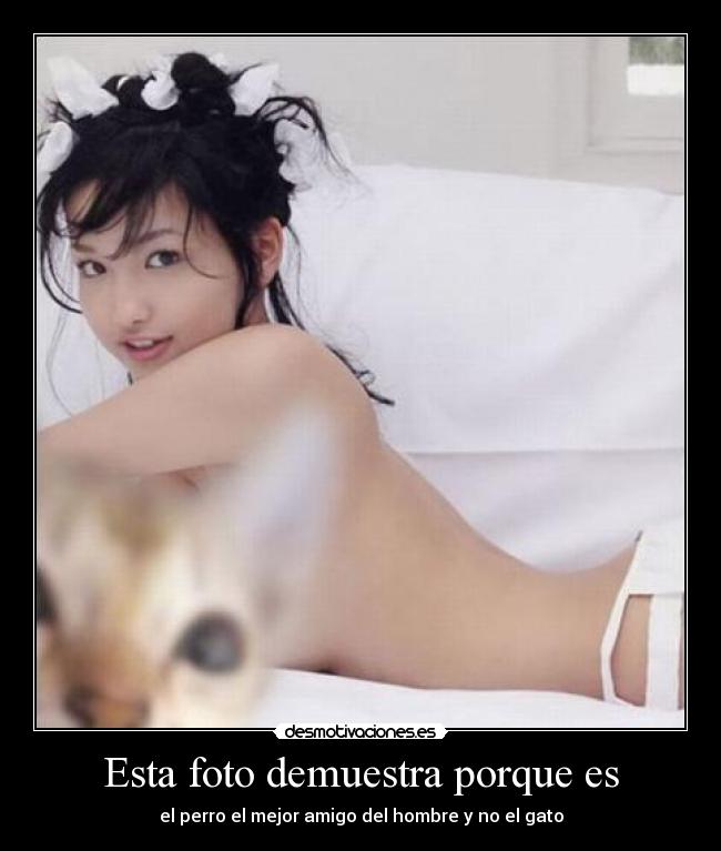 Esta foto demuestra porque es - el perro el mejor amigo del hombre y no el gato
