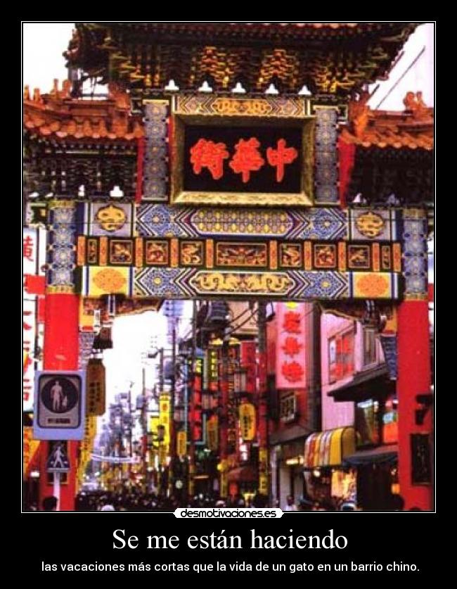 Se me están haciendo -  las vacaciones más cortas que la vida de un gato en un barrio chino.