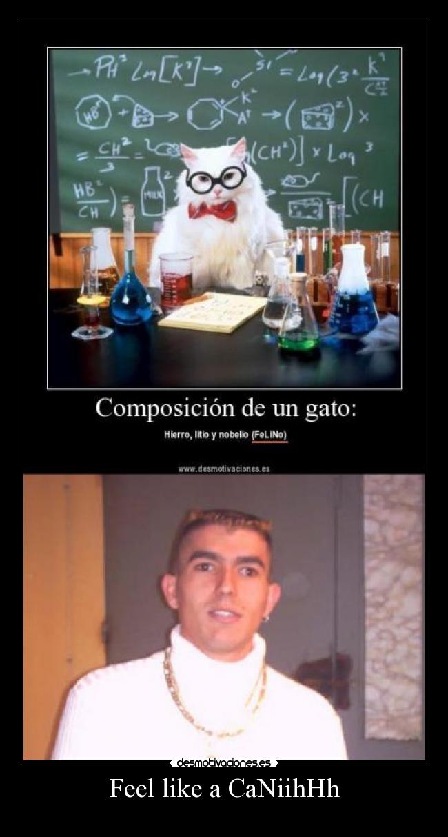 Feel like a CaNiihHh -