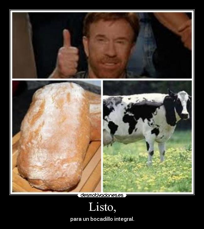 carteles chuck norris dieta veraniega desmotivaciones