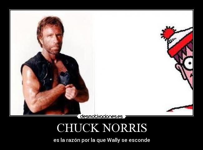 CHUCK NORRIS -