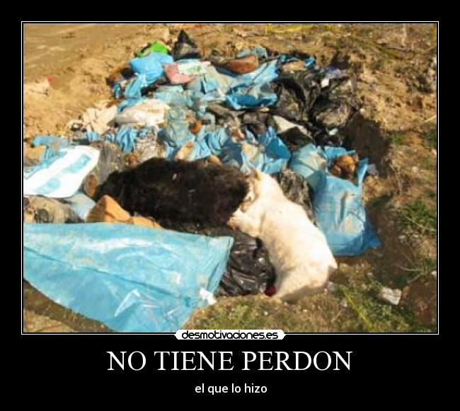 NO TIENE PERDON - el que lo hizo