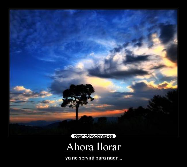 Ahora llorar - ya no servirá para nada...