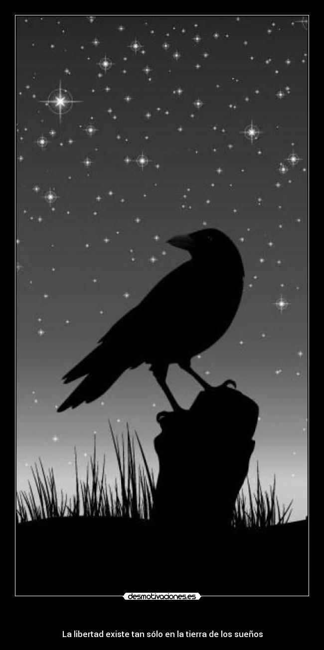 - La libertad existe tan sólo en la tierra de los sueños