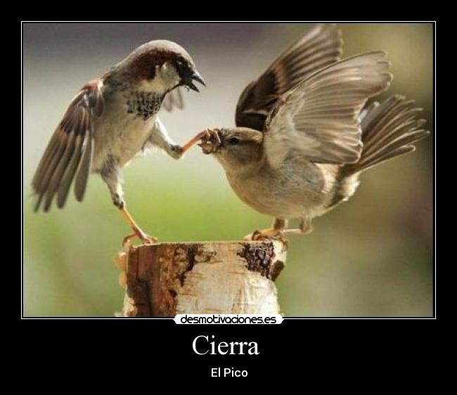 Cierra -