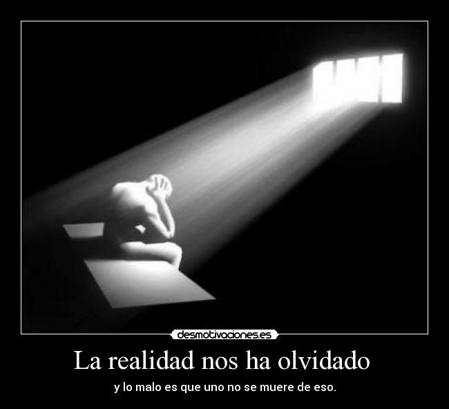 La realidad nos ha olvidado -