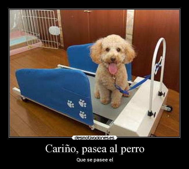 Cariño, pasea al perro - 
