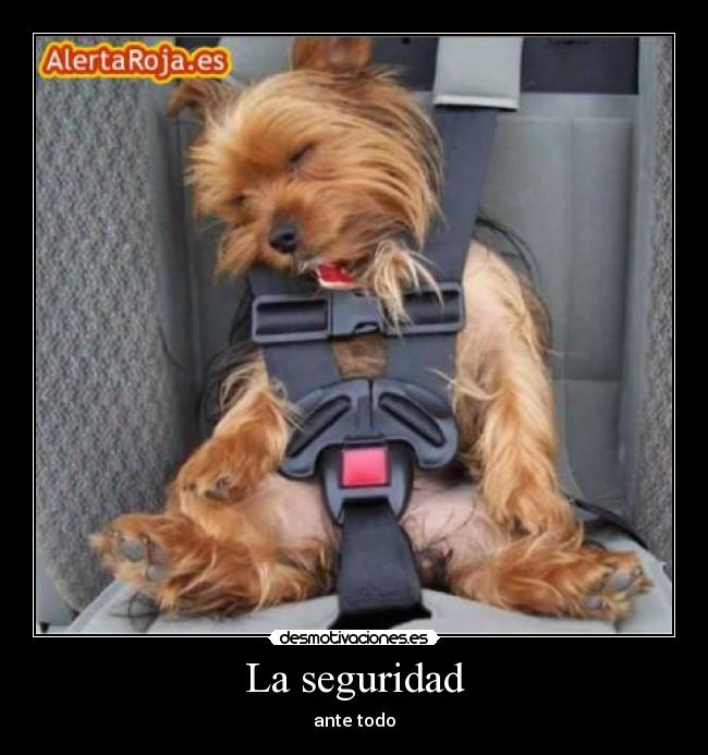 La seguridad -
