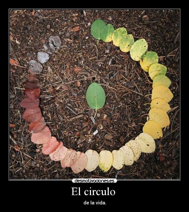 El circulo  - 