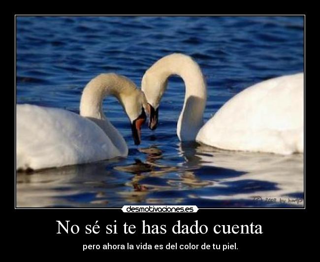 No sé si te has dado cuenta -