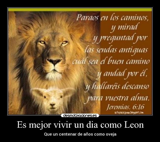 Es mejor vivir un dia como Leon - Que un centenar de años como oveja