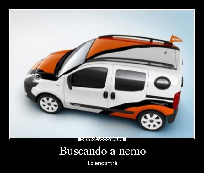 Buscando a nemo - ¡Lo encontré!