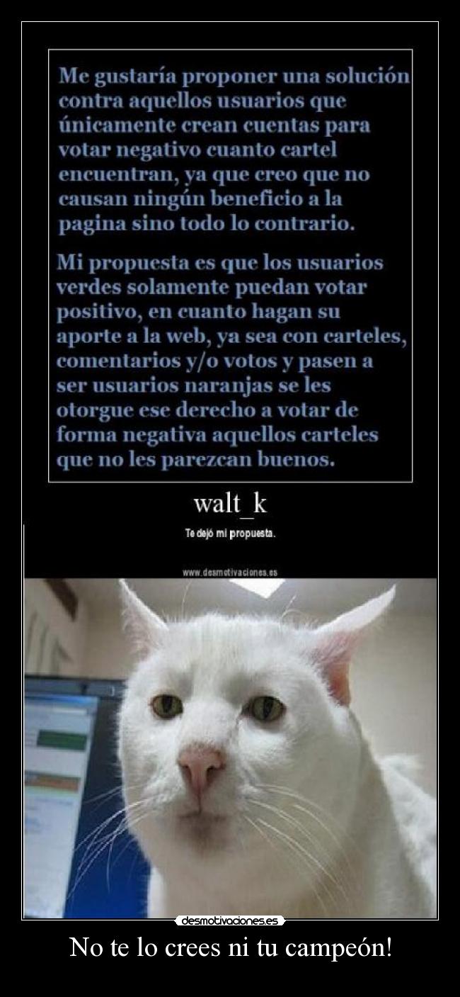 No te lo crees ni tu campeón! -