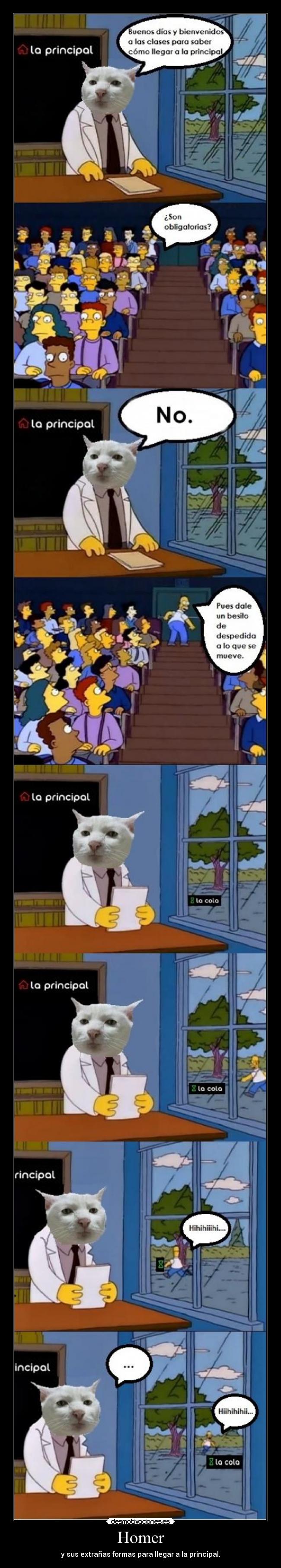 Homer - y sus extrañas formas para llegar a la principal.