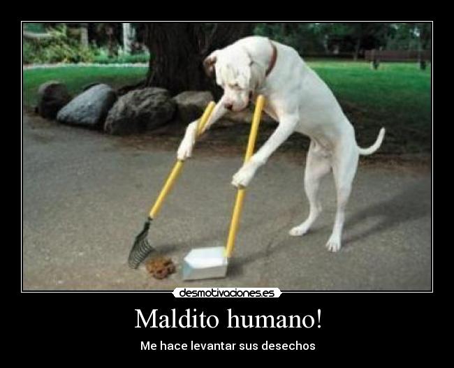 Maldito humano! - Me hace levantar sus desechos