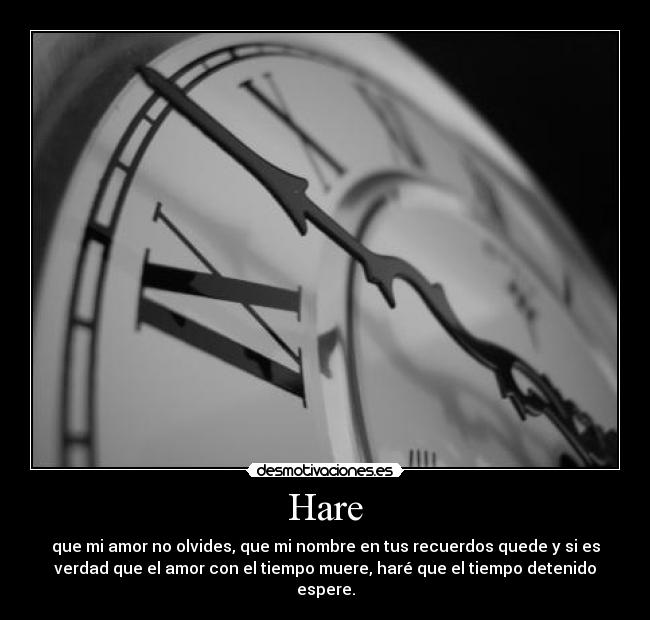 Hare - 