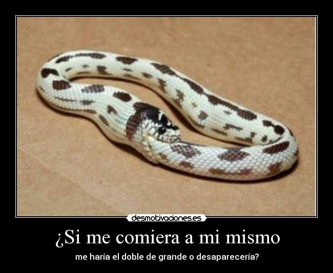 ¿Si me comiera a mi mismo -