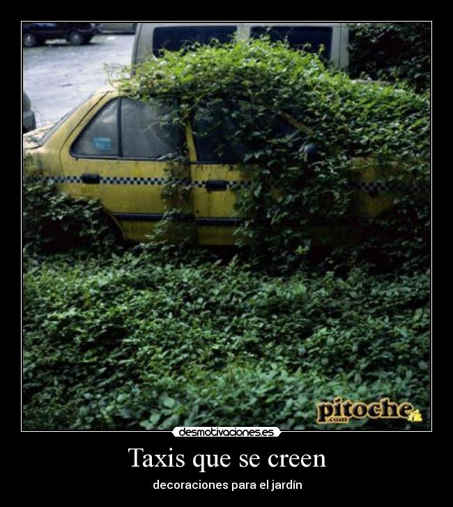 Taxis que se creen - decoraciones para el jardín