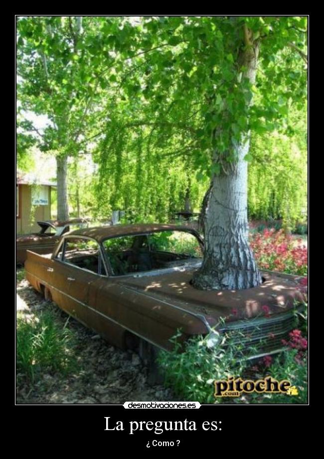 La pregunta es: - ¿ Como ?