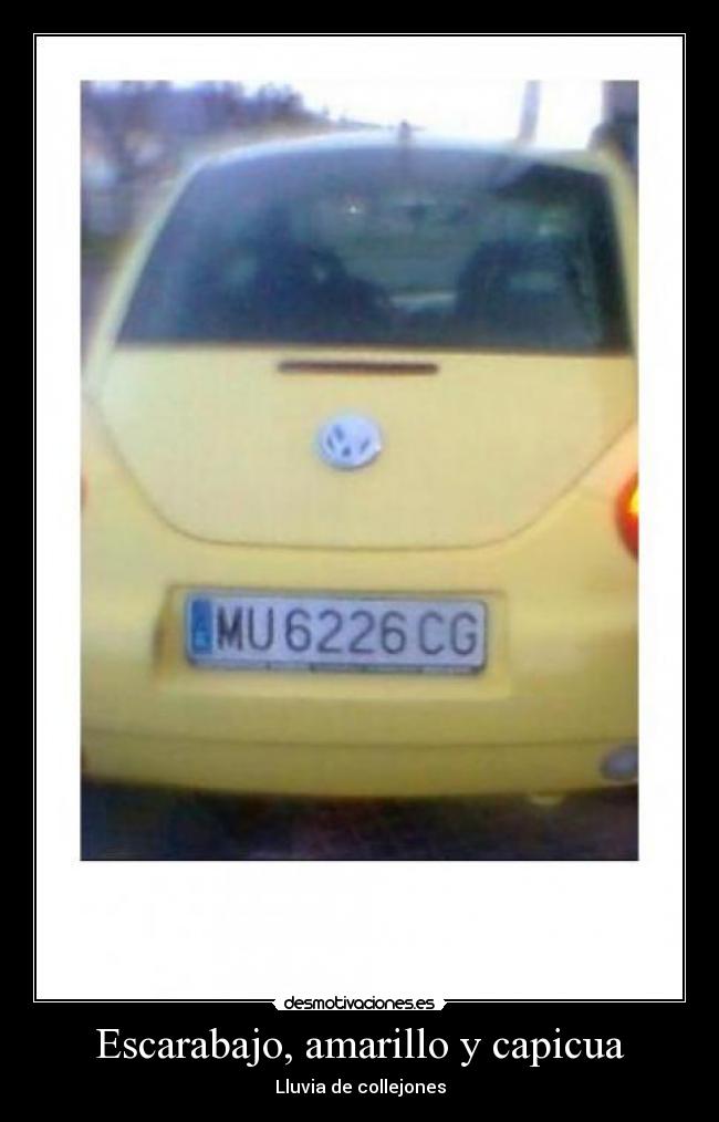 Escarabajo, amarillo y capicua - Lluvia de collejones