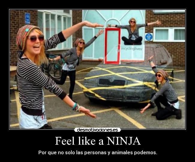 Feel like a NINJA - Por que no solo las personas y animales podemos.
