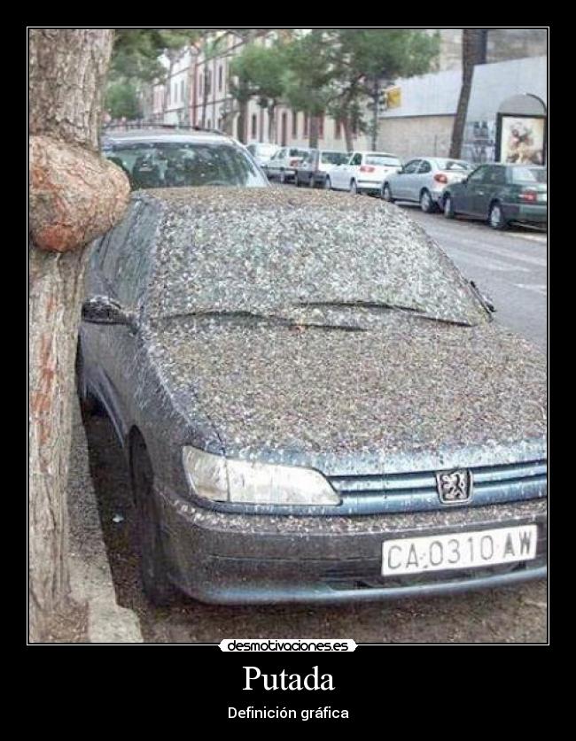 Putada - 