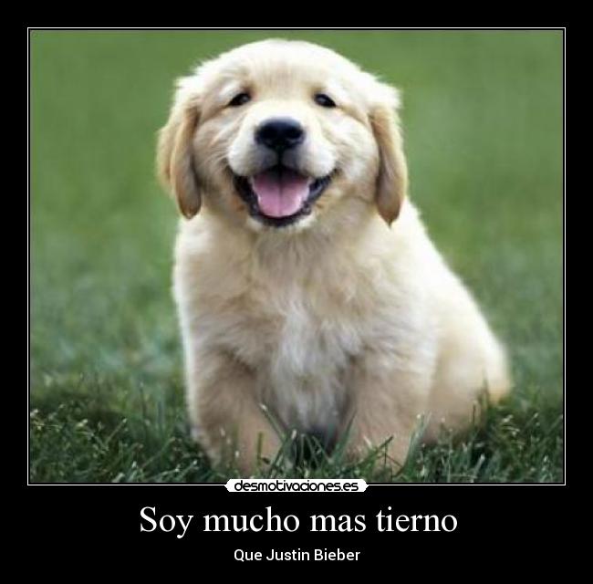 Soy mucho mas tierno - Que Justin Bieber