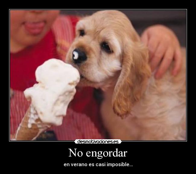 No engordar - 