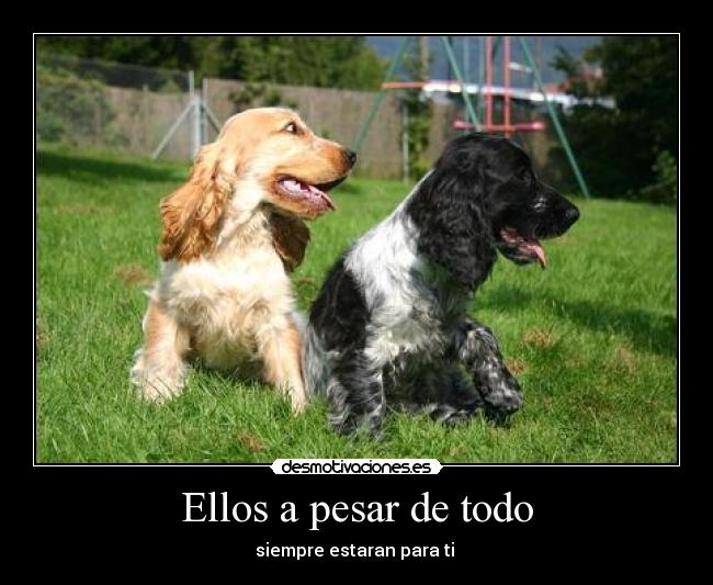 Ellos a pesar de todo - 