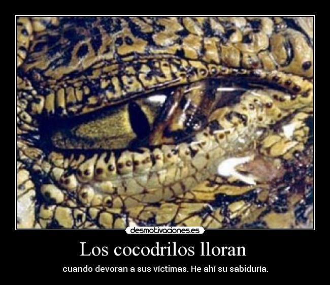 Los cocodrilos lloran  - cuando devoran a sus víctimas. He ahí su sabiduría.