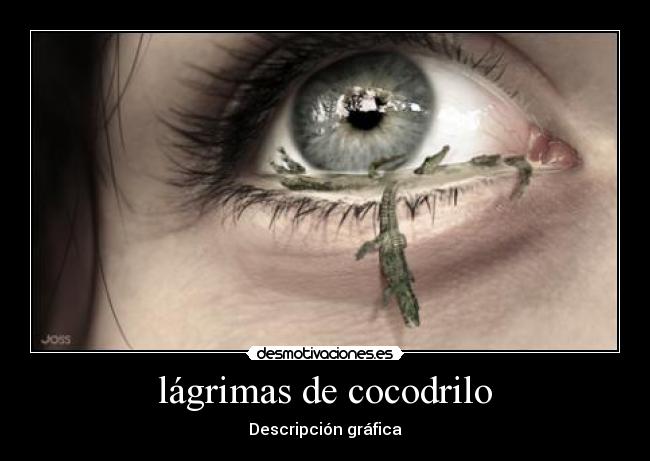 carteles lagrimas desmotivaciones