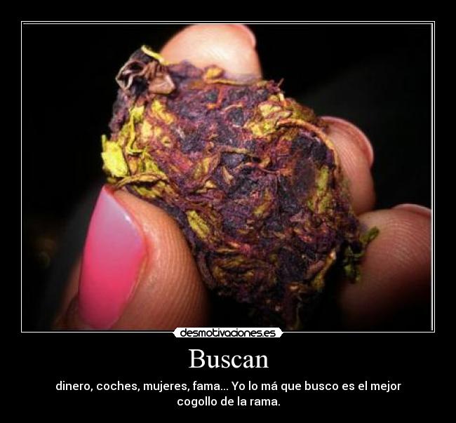 Buscan - 