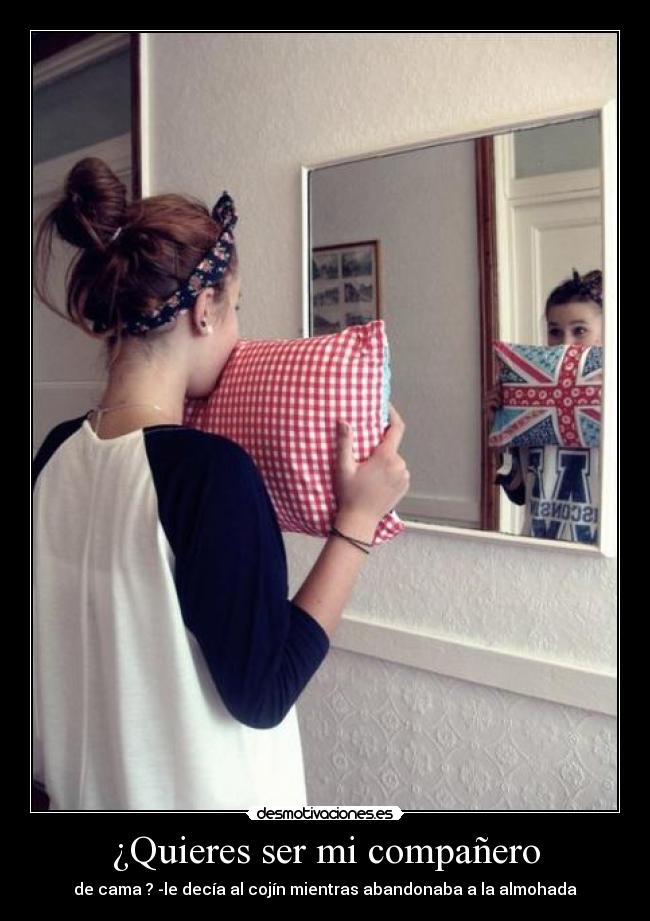 ¿Quieres ser mi compañero - 