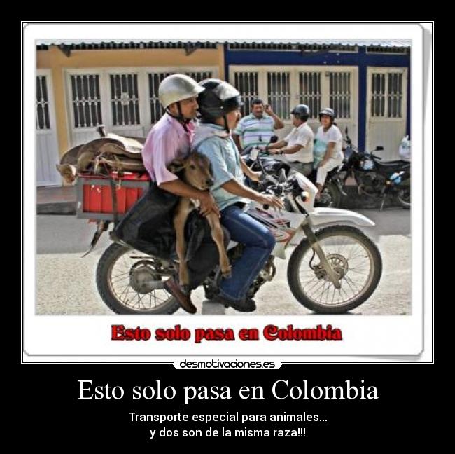 Esto solo pasa en Colombia - 