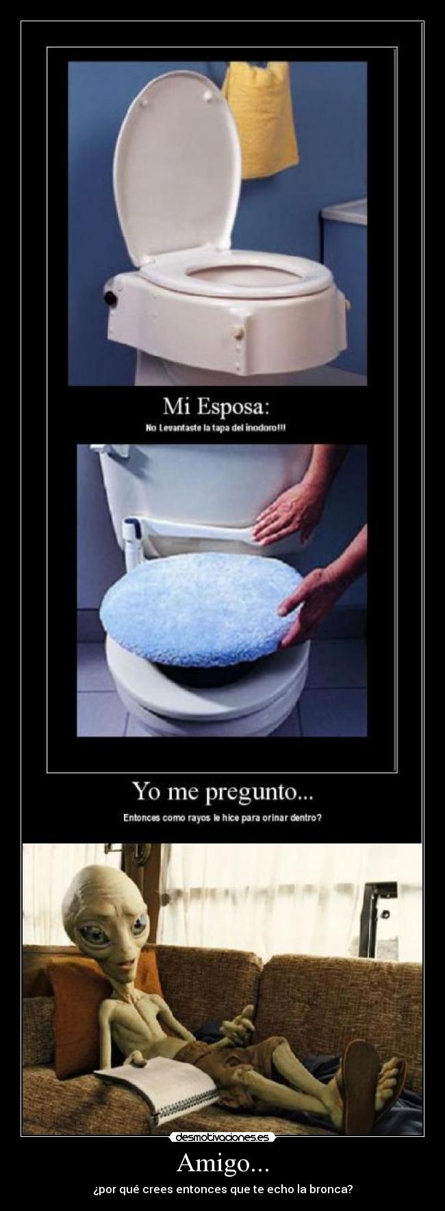 Amigo... - ¿por qué crees entonces que te echo la bronca?