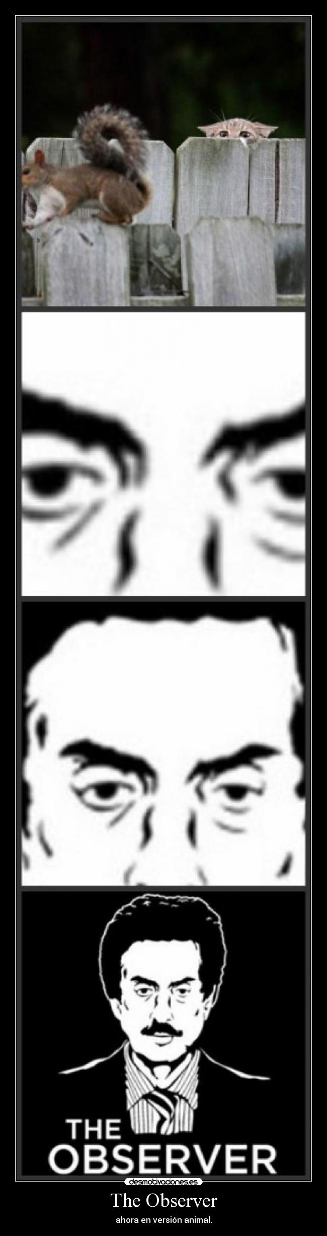 The Observer - ahora en versión animal.