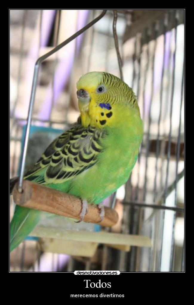 Todos - merecemos divertirnos