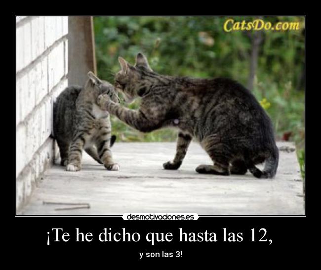 ¡Te he dicho que hasta las 12, - y son las 3!