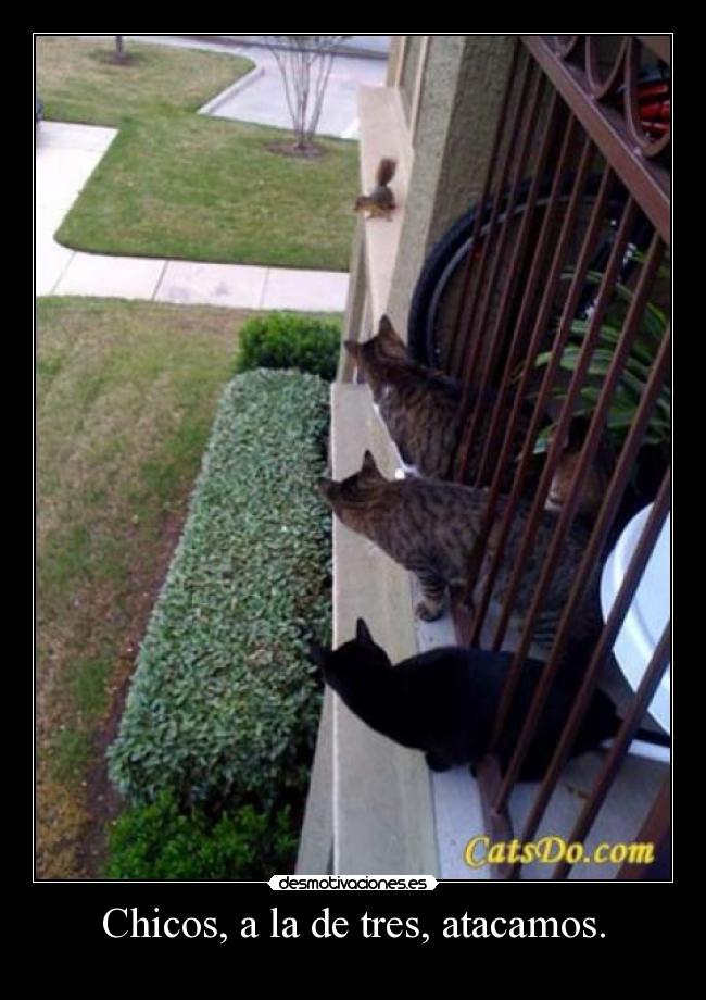 Chicos, a la de tres, atacamos. -