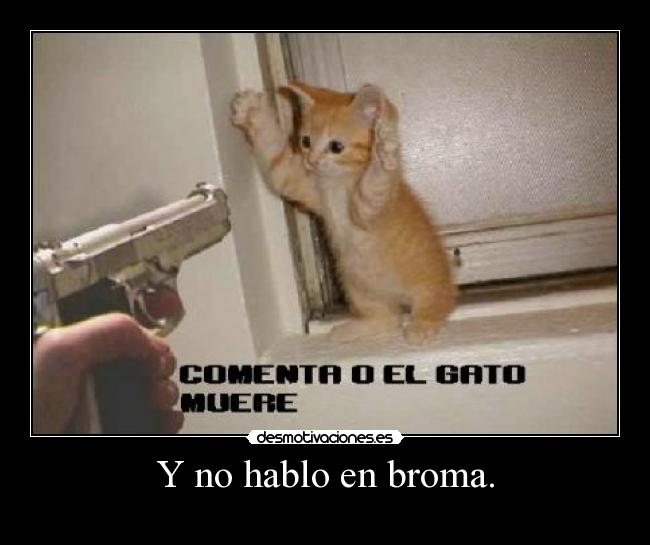 Y no hablo en broma. - 