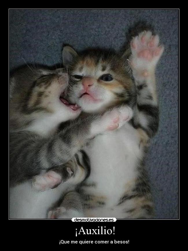 ¡Auxilio! -