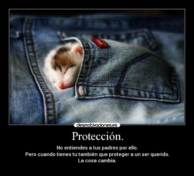 Protección. - 