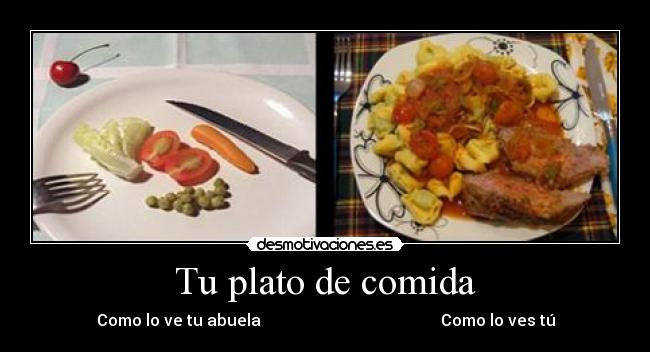 Tu plato de comida -