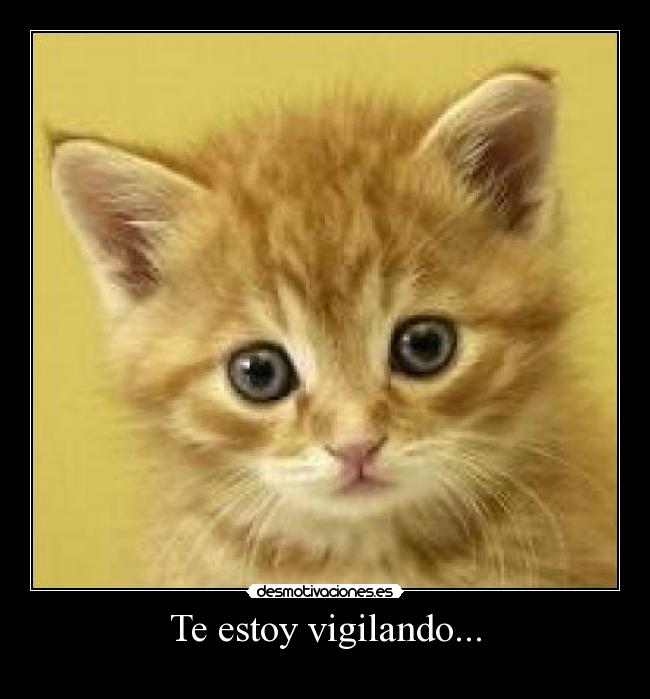 Te estoy vigilando... -