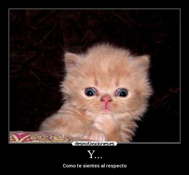 Y... - Como te sientes al respecto