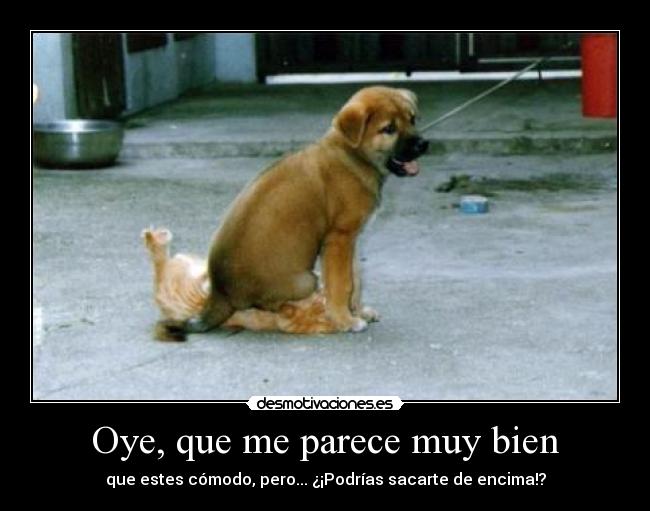 Oye, que me parece muy bien - 