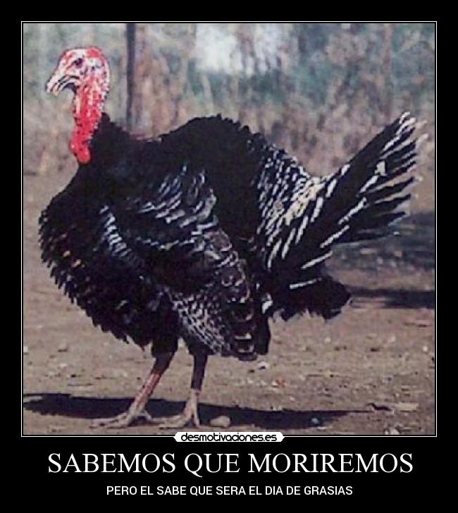 SABEMOS QUE MORIREMOS -